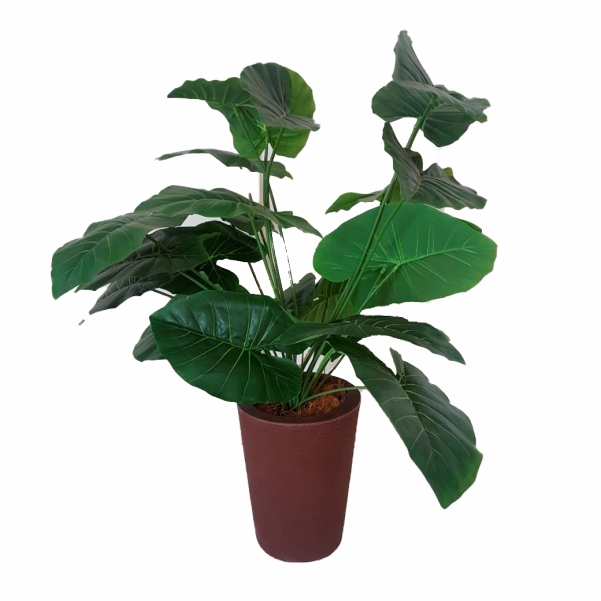 Vaso com Plantas G